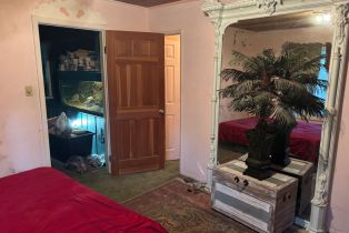 Single Family Residence,  Huckleberry heights, Russian River, CA 95421 - 51