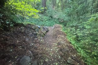 Single Family Residence,  Huckleberry heights, Russian River, CA 95421 - 58