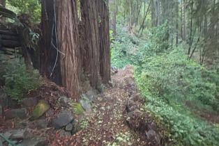 Single Family Residence,  Huckleberry heights, Russian River, CA 95421 - 25