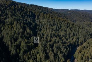 Single Family Residence,  Huckleberry heights, Russian River, CA 95421 - 12