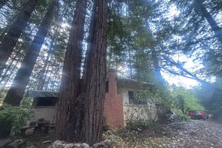 Single Family Residence,  Huckleberry heights, Russian River, CA 95421 - 59