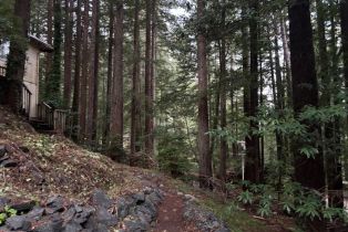 Single Family Residence,  Huckleberry heights, Russian River, CA 95421 - 72