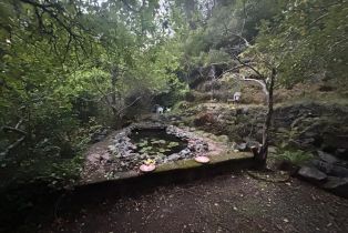 Single Family Residence,  Huckleberry heights, Russian River, CA 95421 - 22