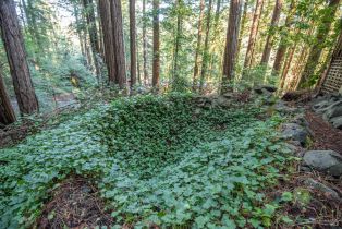 Single Family Residence,  Huckleberry heights, Russian River, CA 95421 - 13