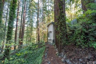 Single Family Residence,  Huckleberry heights, Russian River, CA 95421 - 9