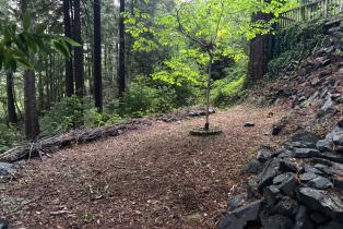 Single Family Residence,  Huckleberry heights, Russian River, CA 95421 - 66