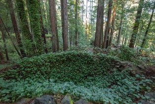 Single Family Residence,  Huckleberry heights, Russian River, CA 95421 - 11