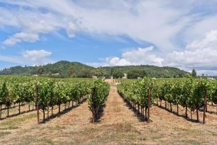 Single Family Residence,  Lytton Springs road, Healdsburg, CA 95448 - 47