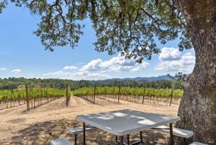 Single Family Residence,  Lytton Springs road, Healdsburg, CA 95448 - 45