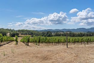 Single Family Residence,  Lytton Springs road, Healdsburg, CA 95448 - 40