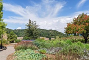 Single Family Residence,  Lytton Springs road, Healdsburg, CA 95448 - 41