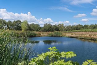 Single Family Residence,  Lytton Springs road, Healdsburg, CA 95448 - 50