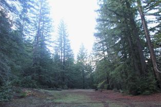 Single Family Residence, Mohrhardt Ridge road, Russian River, CA 95421 - 53