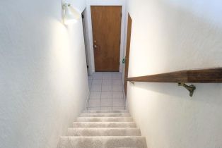 Single Family Residence, Lupine Close drive, Sea Ranch, CA 95497 - 43