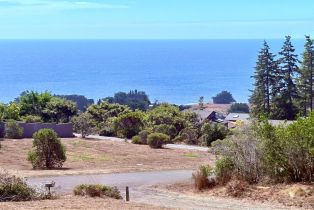 Single Family Residence, Lupine Close drive, Sea Ranch, CA 95497 - 3
