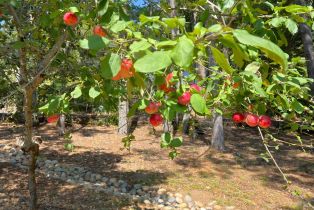 Single Family Residence,  Fiori lane, Sebastopol, CA 95472 - 75