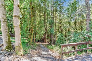 Single Family Residence,  Fiori lane, Sebastopol, CA 95472 - 68