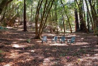 Single Family Residence,  Fiori lane, Sebastopol, CA 95472 - 80