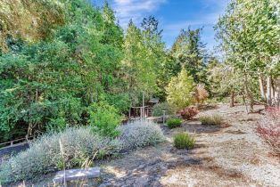 Single Family Residence,  Fiori lane, Sebastopol, CA 95472 - 62