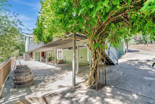 Single Family Residence,  Fiori lane, Sebastopol, CA 95472 - 50