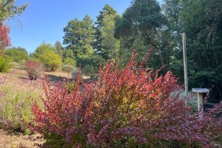 Single Family Residence,  Fiori lane, Sebastopol, CA 95472 - 77