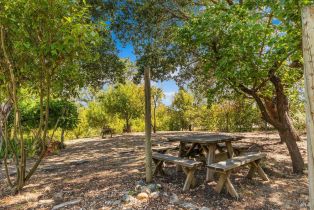 Single Family Residence,  Grove street, Sonoma, CA 95476 - 35