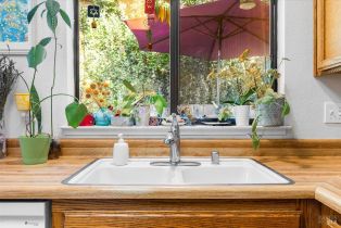 Single Family Residence,  Hummingbird court, Healdsburg, CA 95448 - 8