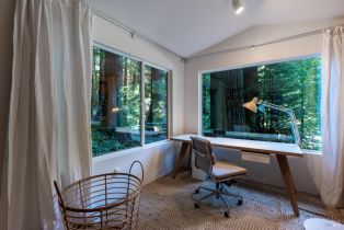 Single Family Residence,  Cazadero highway, Russian River, CA 95421 - 32