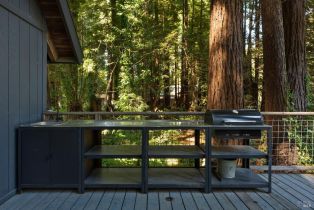 Single Family Residence,  Cazadero highway, Russian River, CA 95421 - 27