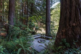 Single Family Residence,  Cazadero highway, Russian River, CA 95421 - 29