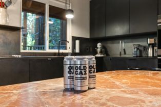 Single Family Residence,  Cazadero highway, Russian River, CA 95421 - 8