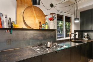 Single Family Residence,  Cazadero highway, Russian River, CA 95421 - 9