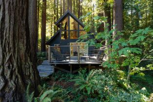 Single Family Residence,  Cazadero highway, Russian River, CA 95421 - 30