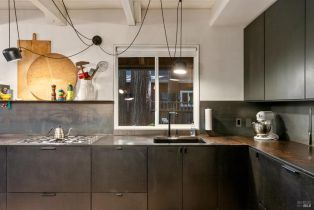 Single Family Residence,  Cazadero highway, Russian River, CA 95421 - 10