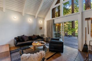 Single Family Residence,  Cazadero highway, Russian River, CA 95421 - 6