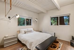 Single Family Residence,  Cazadero highway, Russian River, CA 95421 - 15