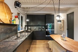 Single Family Residence,  Cazadero highway, Russian River, CA 95421 - 12