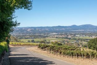 Single Family Residence,  Kreuzer lane, Napa, CA 94559 - 95