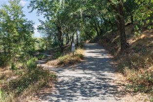 Single Family Residence,  Palomino court, Healdsburg, CA 95448 - 28