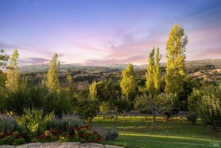 Single Family Residence, Monticello road, Napa, CA 94558 - 59