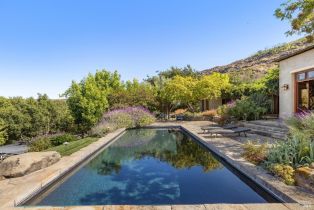 Single Family Residence, Monticello road, Napa, CA 94558 - 25