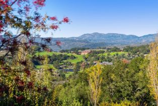 Single Family Residence, Monticello road, Napa, CA 94558 - 5
