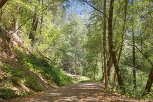 Single Family Residence,  Dry Creek road, Healdsburg, CA 95448 - 34