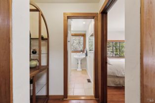 Single Family Residence,  Dry Creek road, Healdsburg, CA 95448 - 16