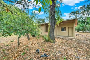 Single Family Residence,  Petaluma avenue, Sonoma, CA 95476 - 64