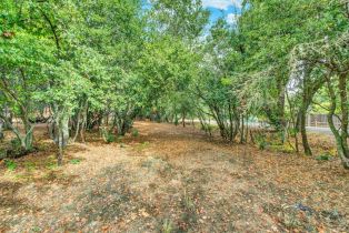 Single Family Residence,  Petaluma avenue, Sonoma, CA 95476 - 61