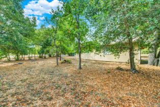 Single Family Residence,  Petaluma avenue, Sonoma, CA 95476 - 60