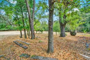 Single Family Residence,  Petaluma avenue, Sonoma, CA 95476 - 67
