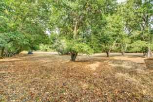 Single Family Residence,  Petaluma avenue, Sonoma, CA 95476 - 53