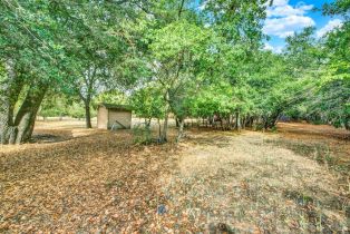 Single Family Residence,  Petaluma avenue, Sonoma, CA 95476 - 59